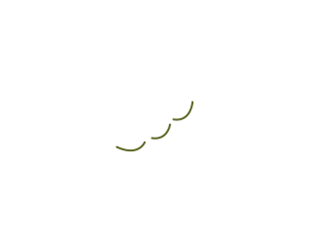 中札内村の大地で育った栄養満点！ふっくらえだ豆